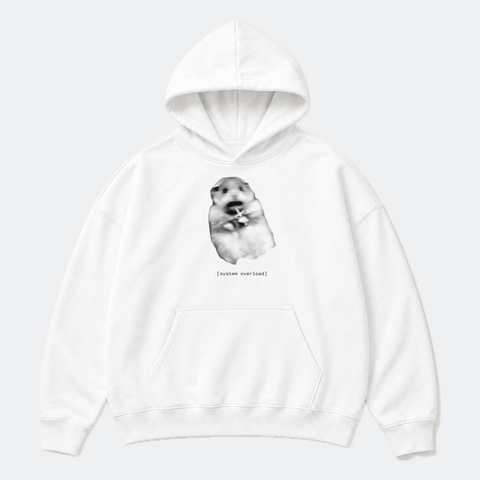 PT-001 // HOODIE
