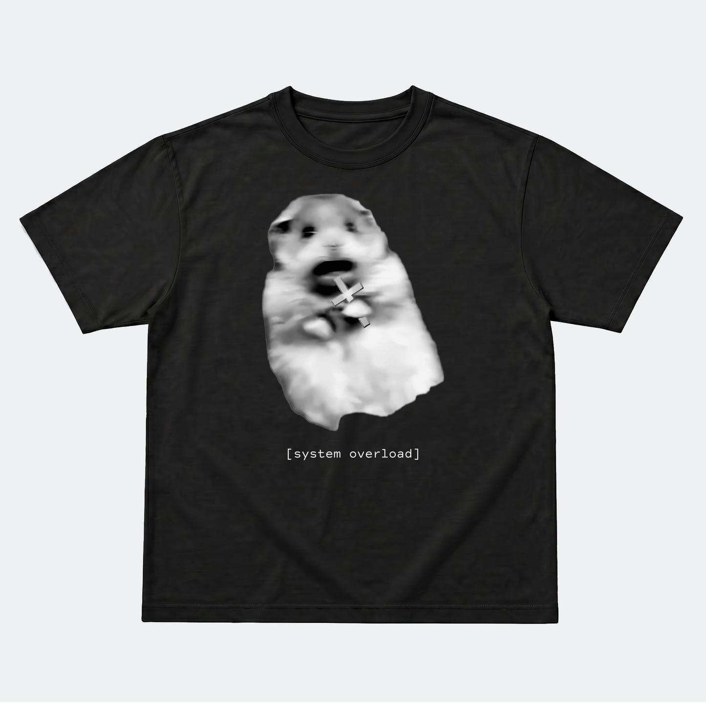 PT-001 // HEAVY TEE